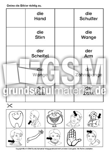 AB-DAZ-Körperteile-zuordnen-2.pdf